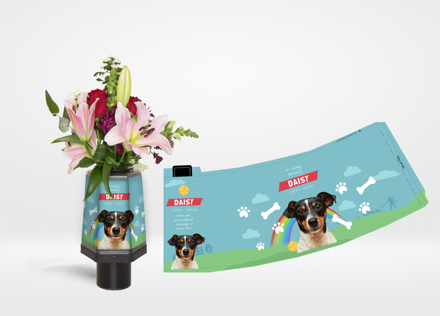 Photo Background Only